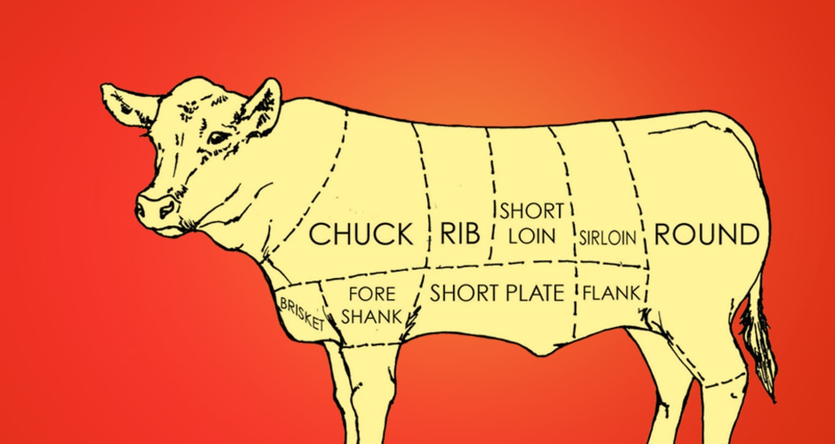How to Eat Cow A Beginner's Guide to Beef Cuts First We Feast