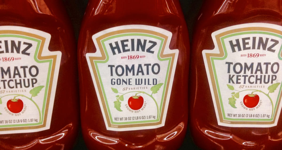 Heinz Ketchup Qr Code Sends Customers To Hardcore Porn Site First We Feast