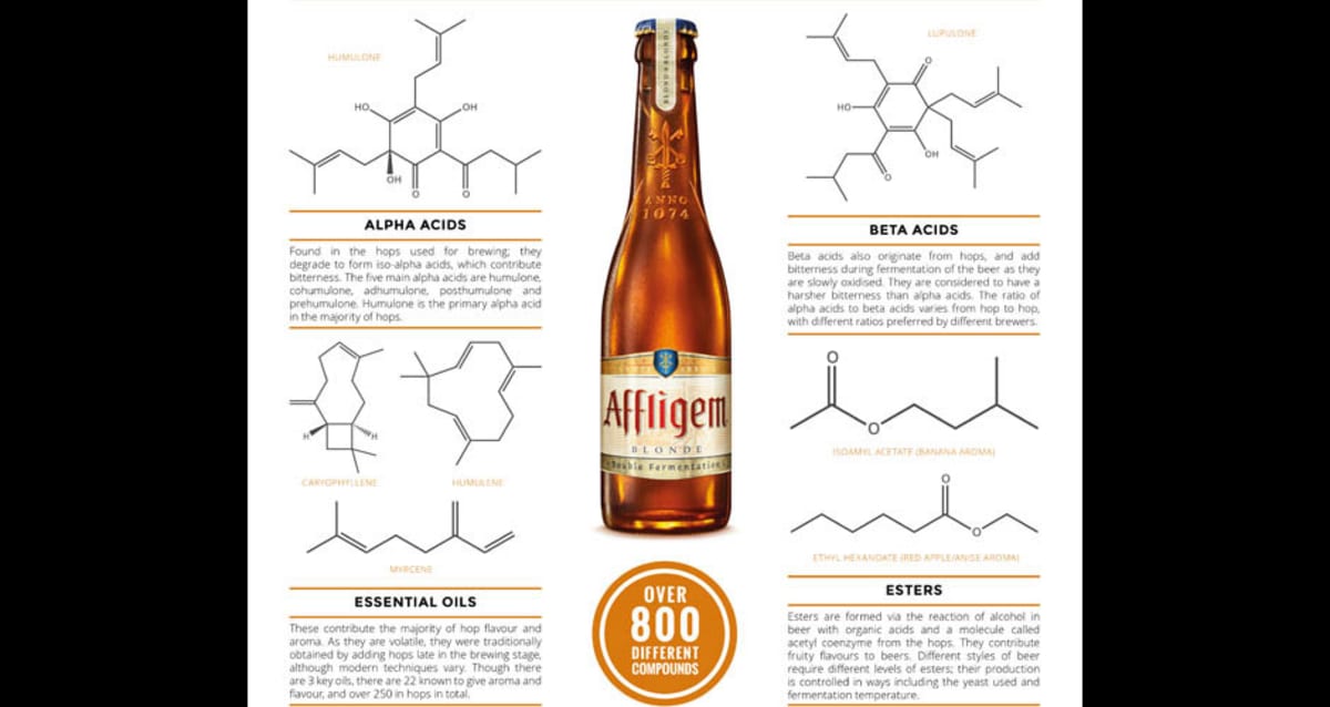 Infographic What Gives Beer Its Flavor? First We Feast