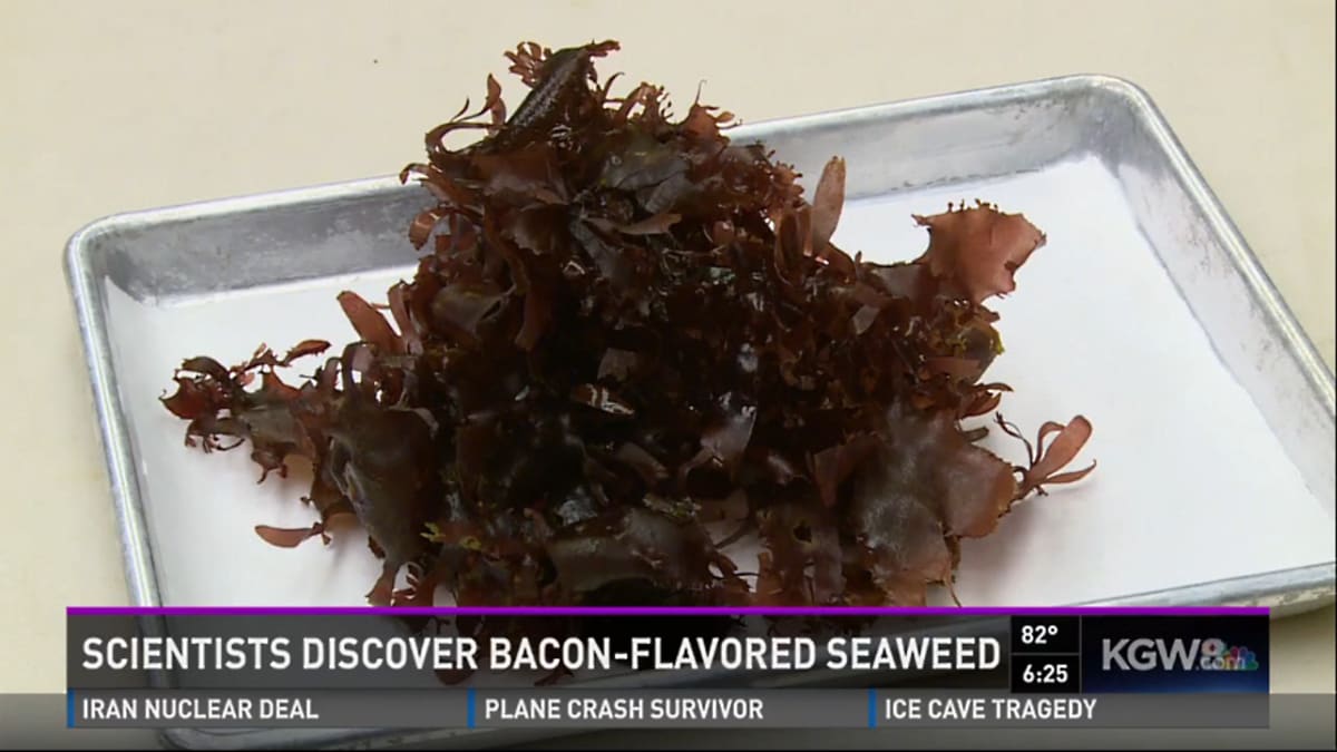 This Seaweed Tastes Like Bacon, Is Twice As Nutritious As Kale First