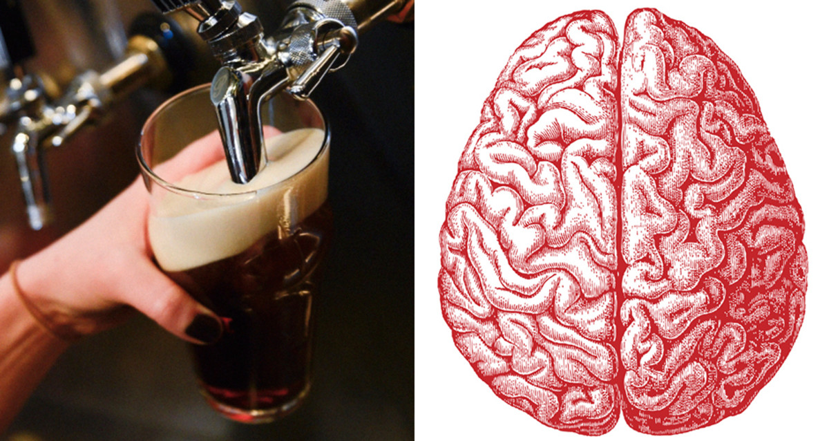 Drinking Beer Can Help Protect Your Brain Against Alzheimer's and