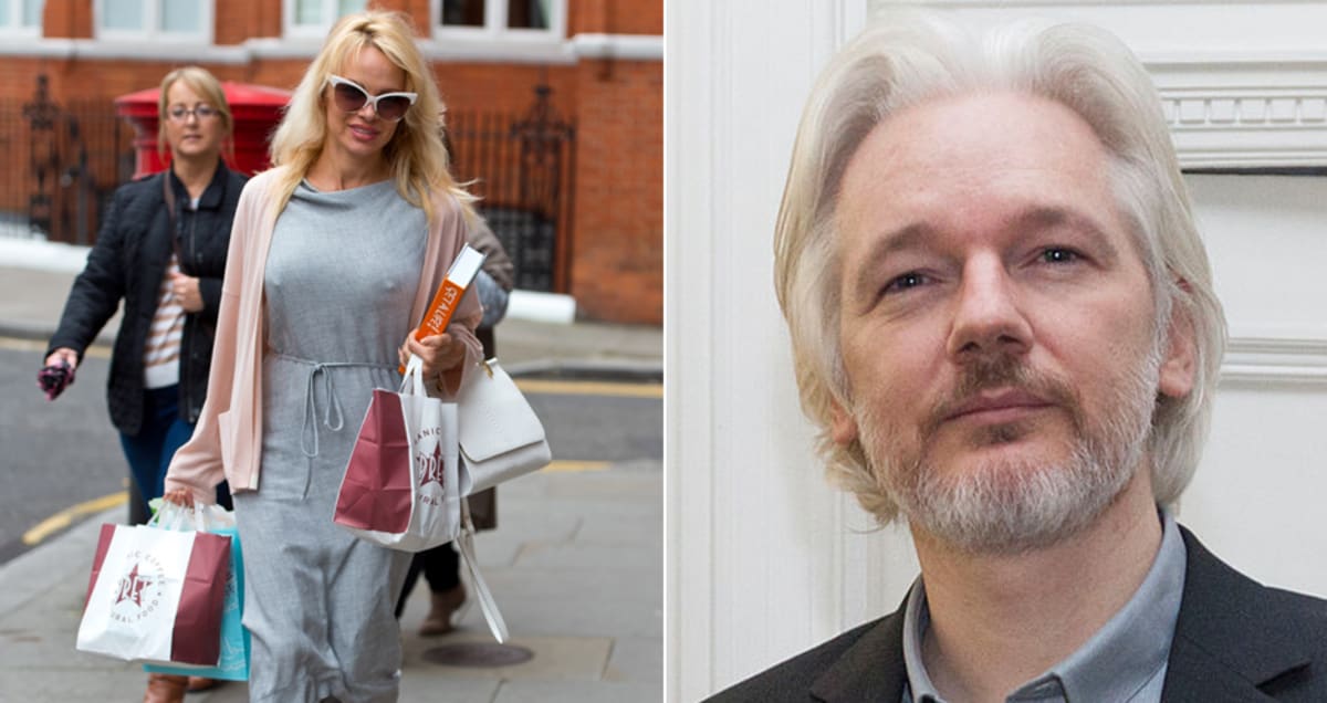 The Internet Thinks Pamela Anderson Poisoned Julian 